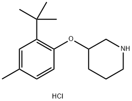 3-[2-(tert-Butyl)-4-methylphenoxy]piperidinehydrochloride 结构式