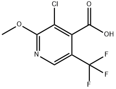 3-Chloro-2-methoxy-5-(trifluoromethyl)-isonicotinic acid