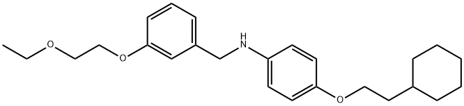 N-[4-(2-Cyclohexylethoxy)phenyl]-N-[3-(2-ethoxyethoxy)benzyl]amine 结构式