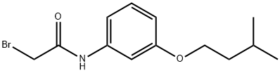 2-Bromo-N-[3-(isopentyloxy)phenyl]acetamide 结构式