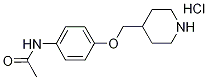 N-[4-(4-Piperidinylmethoxy)phenyl]acetamidehydrochloride 结构式