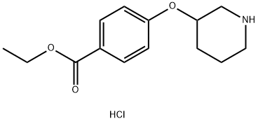 Ethyl 4-(3-piperidinyloxy)benzoate hydrochloride 结构式