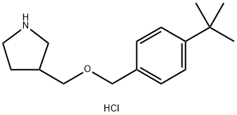 4-(tert-Butyl)benzyl 3-pyrrolidinylmethyl etherhydrochloride 结构式