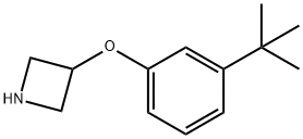 3-[3-(tert-Butyl)phenoxy]azetidine 结构式