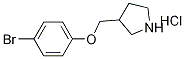 3-[(4-Bromophenoxy)methyl]pyrrolidinehydrochloride 结构式