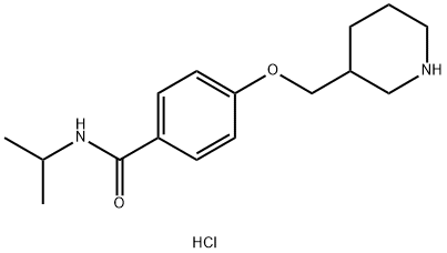 N-异丙基-4-(哌啶-3-基甲氧基)苯甲酰胺盐酸盐 结构式