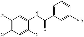 3-AMINO-N-(2,4,5-TRICHLOROPHENYL)BENZAMIDE 结构式