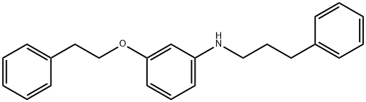 3-(Phenethyloxy)-N-(3-phenylpropyl)aniline 结构式
