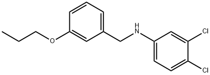 3,4-Dichloro-N-(3-propoxybenzyl)aniline 结构式
