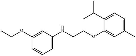 3-Ethoxy-N-[2-(2-isopropyl-5-methylphenoxy)ethyl]-aniline 结构式