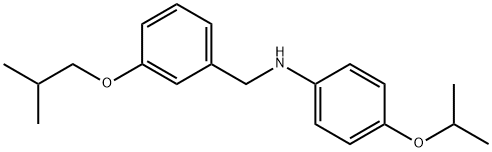 N-(3-ISOBUTOXYBENZYL)-4-ISOPROPOXYANILINE 结构式