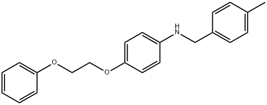 N-(4-Methylbenzyl)-4-(2-phenoxyethoxy)aniline 结构式
