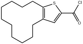 4,5,6,7,8,9,10,11,12,13-十氢环十二[B]噻吩-2-甲酰氯 结构式