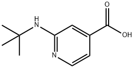 2-(叔丁氨基)异烟酸 结构式