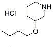 3-(Isopentyloxy)piperidine hydrochloride 结构式