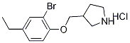 3-[(2-Bromo-4-ethylphenoxy)methyl]pyrrolidinehydrochloride 结构式