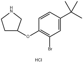 3-[2-Bromo-4-(tert-butyl)phenoxy]pyrrolidinehydrochloride 结构式