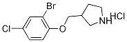3-[(2-Bromo-4-chlorophenoxy)methyl]pyrrolidinehydrochloride 结构式