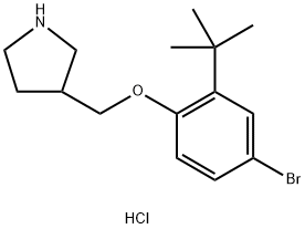 4-Bromo-2-(tert-butyl)phenyl 3-pyrrolidinylmethyl-ether hydrochloride 结构式