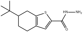 6-叔丁基-4,5,6,7-四氢-1-苯并噻吩-2-卡巴肼 结构式