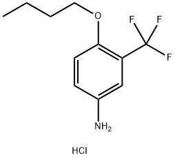 4-丁氧基-3-(三氟甲基)苯胺盐酸盐 结构式