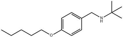 2-Methyl-N-[4-(pentyloxy)benzyl]-2-propanamine 结构式