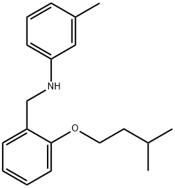 N-[2-(Isopentyloxy)benzyl]-3-methylaniline 结构式