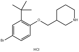 4-Bromo-2-(tert-butyl)phenyl 3-piperidinylmethylether hydrochloride 结构式