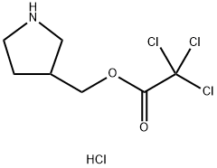 3-Pyrrolidinylmethyl 2,2,2-trichloroacetatehydrochloride 结构式