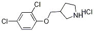 3-[(2,4-Dichlorophenoxy)methyl]pyrrolidinehydrochloride 结构式