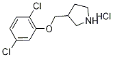 3-[(2,5-Dichlorophenoxy)methyl]pyrrolidinehydrochloride 结构式