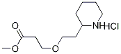 Methyl 3-[2-(2-piperidinyl)ethoxy]propanoatehydrochloride 结构式