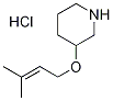 3-[(3-Methyl-2-butenyl)oxy]piperidinehydrochloride 结构式