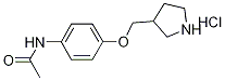 N-[4-(3-Pyrrolidinylmethoxy)phenyl]acetamidehydrochloride 结构式