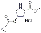 Methyl (2S,4S)-4-[(cyclopropylcarbonyl)oxy]-2-pyrrolidinecarboxylate hydrochloride 结构式