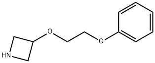 3-(2-Phenoxyethoxy)azetidine 结构式