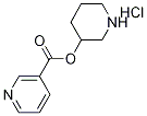 3-Piperidinyl nicotinate hydrochloride 结构式