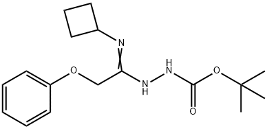 N'-[1-Cyclobutylamino-2-phenoxyethylidene]-hydrazinecarboxylic acid tert-butyl ester 结构式