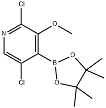 2,5-Dichloro-3-methoxy-4-(4,4,5,5-tetramethyl-1,3,2-dioxaborolan-2-yl)pyridine 结构式