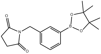 1-[3-(4,4,5,5-Tetramethyl-[1,3,2]dioxaborolan-2-yl)-benzyl]-pyrrolidine-2,5-dione 结构式