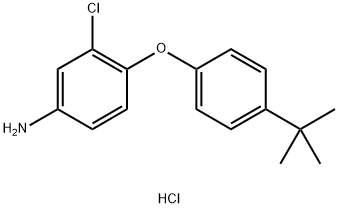 4-[4-(TERT-BUTYL)PHENOXY]-3-CHLOROPHENYLAMINEHYDROCHLORIDE 结构式