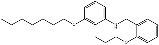 3-(Heptyloxy)-N-(2-propoxybenzyl)aniline 结构式