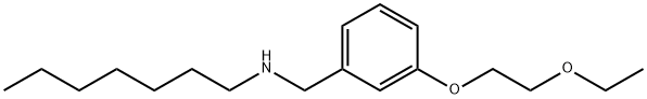 N-[3-(2-Ethoxyethoxy)benzyl]-1-heptanamine 结构式