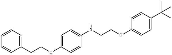 N-{2-[4-(tert-Butyl)phenoxy]ethyl}-4-(phenethyloxy)aniline 结构式