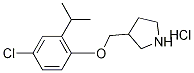 3-[(4-Chloro-2-isopropylphenoxy)methyl]-pyrrolidine hydrochloride 结构式