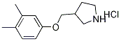 3-[(3,4-Dimethylphenoxy)methyl]pyrrolidinehydrochloride 结构式