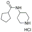 N-(4-Piperidinyl)cyclopentanecarboxamidehydrochloride 结构式