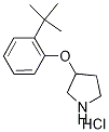 3-[2-(tert-Butyl)phenoxy]pyrrolidine hydrochloride 结构式