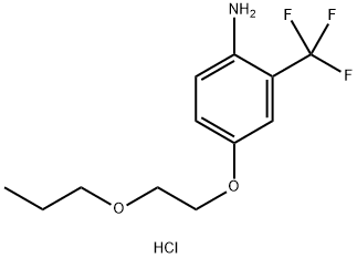 4-(2-Propoxyethoxy)-2-(trifluoromethyl)anilinehydrochloride 结构式