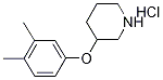 3-(3,4-Dimethylphenoxy)piperidine hydrochloride 结构式